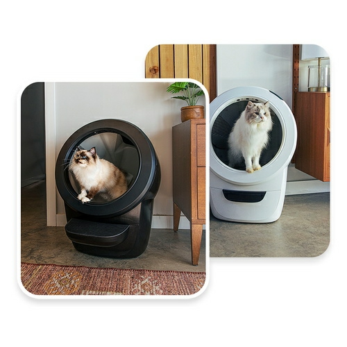 4 Automatic Cat Litter System – Preorders Cat Black