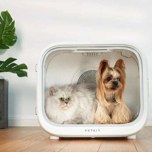 Airsalon Max Smart Pet Dryer For Cats & Dogs Cat