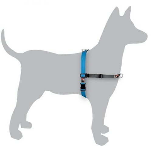 Black Dog Balance Halter – Front & Back Attach Dog Harness Collars, Harnesses & Leads Blue