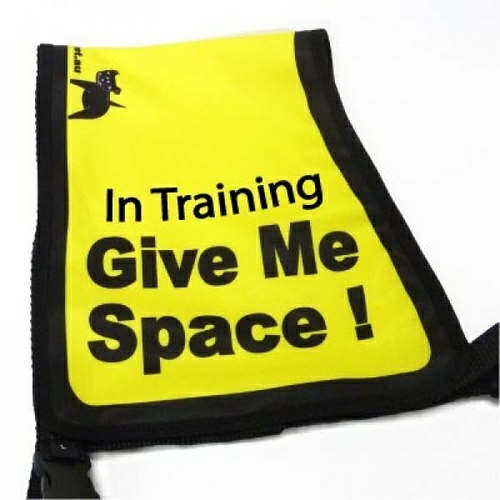 Black Dog “Give Me Space” Awareness Vest For Dogs Apparel & Costumes