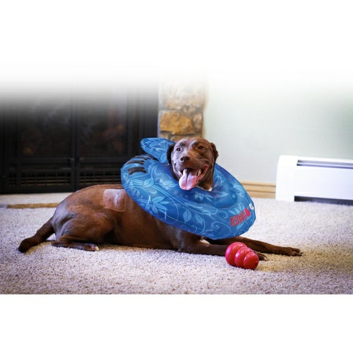 Cushion Collar Post-Surgery Or Injury Cone Collar Collars