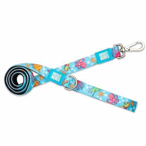 Dog Leash – Blue Ocean Collars, Harnesses & Leads