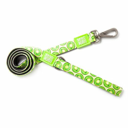 Dog Leash – Kiwi Collars, Harnesses & Leads