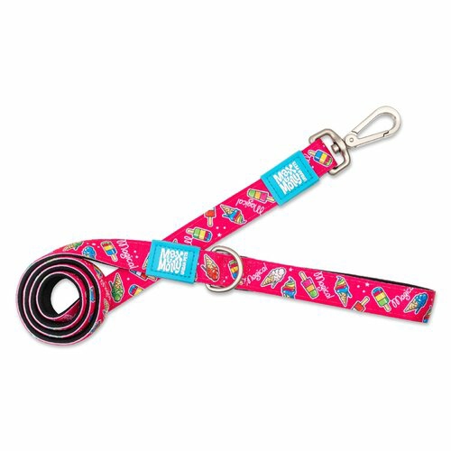 Dog Leash – Magical Collars, Harnesses & Leads