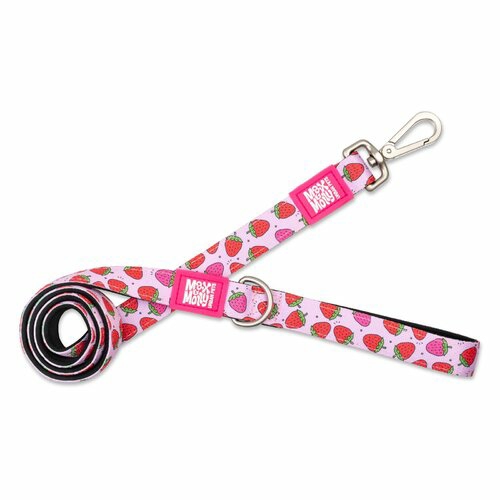 Dog Leash – Strawberries Collars, Harnesses & Leads