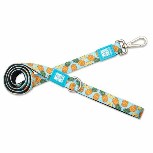 Dog Leash – Sweet Pineapple Collars, Harnesses & Leads