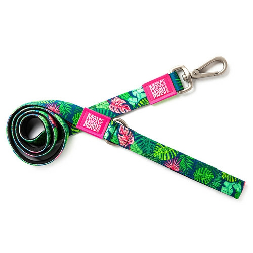 Dog Leash – Tropical Collars, Harnesses & Leads