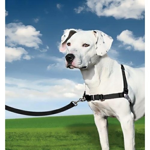 Easy Walk Front-Attachment Harness And Lead Set Collars, Harnesses & Leads