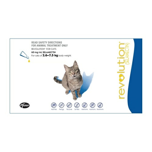 Flea, Intestinal Worm & Heartworm Control For Cats & Kittens Cat