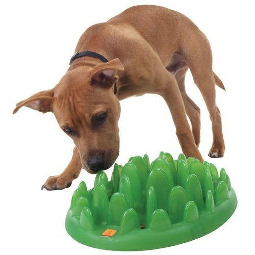 Green Mini Interactive Slow Food Dog Bowl Bowls & Fountains