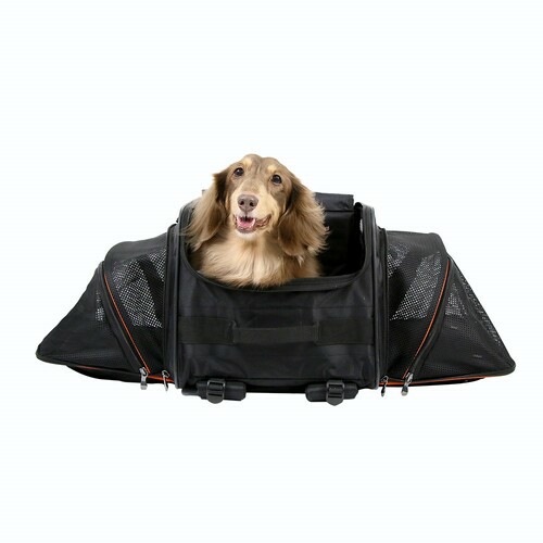 Jetpaw: Expandable Pet Carrier & Backpack – Obsidian/Orange Carriers & Strollers