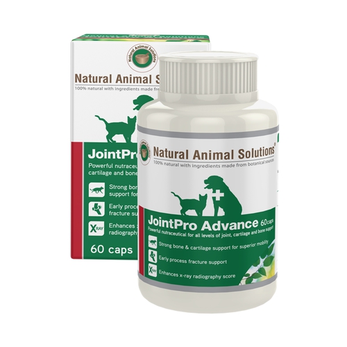 Jointpro Advance For Cats & Dogs 60 Capsules Cat