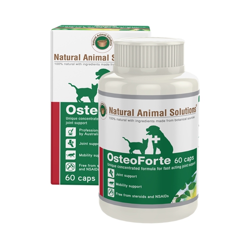 Osteoforte For Cats & Dogs 60 Capsules Cat