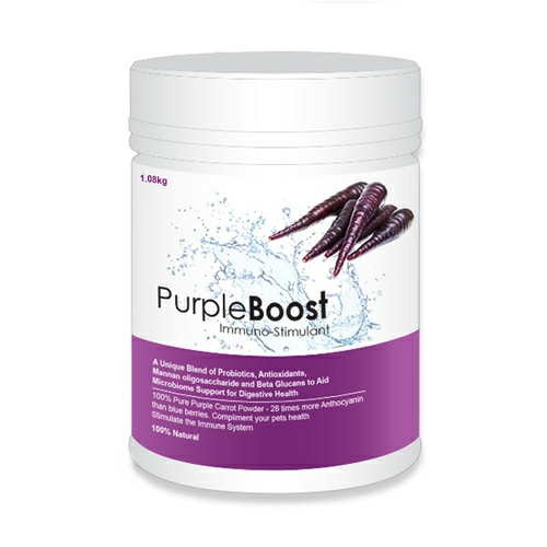 Purple Boost Probiotics & Antioxidants For Dogs 1.08Kg Dog