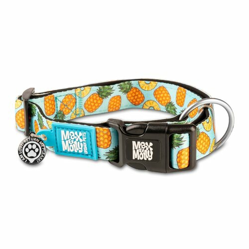 Smart Id Dog Collar – Sweet Pineapple Collars