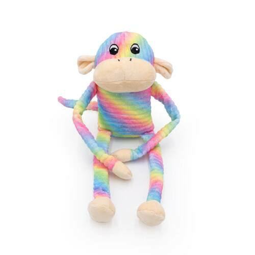 Spencer The Crinkle Monkey Long Leg Plush Dog Toy – Large Rainbow Dog