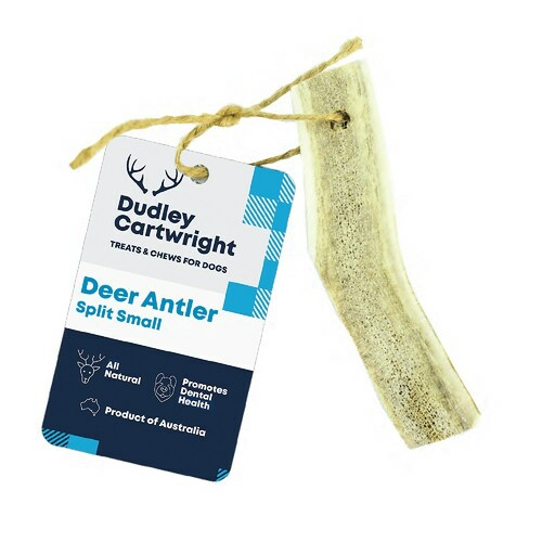 Split Antler Dental Dog Chew – Naturally Shed Dog