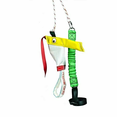 Standard Bungie Chook Hanging Dog Toy Dog