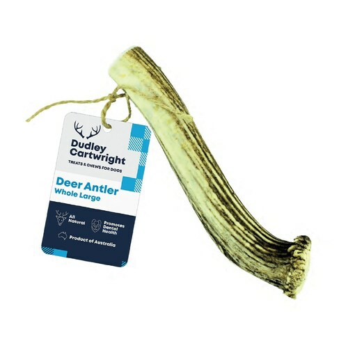 Whole Antler Dental Dog Chew – Naturally Shed Dog